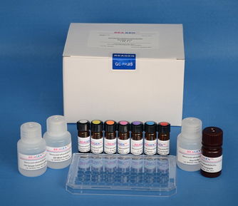 黄曲霉毒素B1检测试剂盒 全国价格 8600.00 台