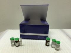 大鼠β-防御素(β-DF)ELISA试剂盒实验代做