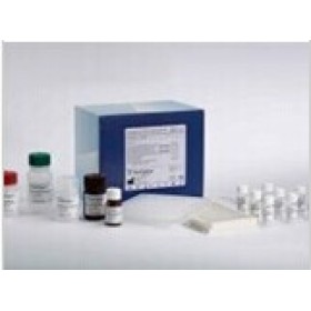 人中性粒细胞防御素1-3(HNP1-3)ELISA试剂盒